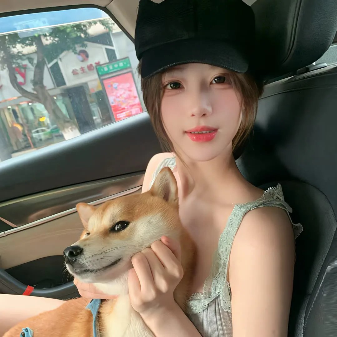 暴龙真相